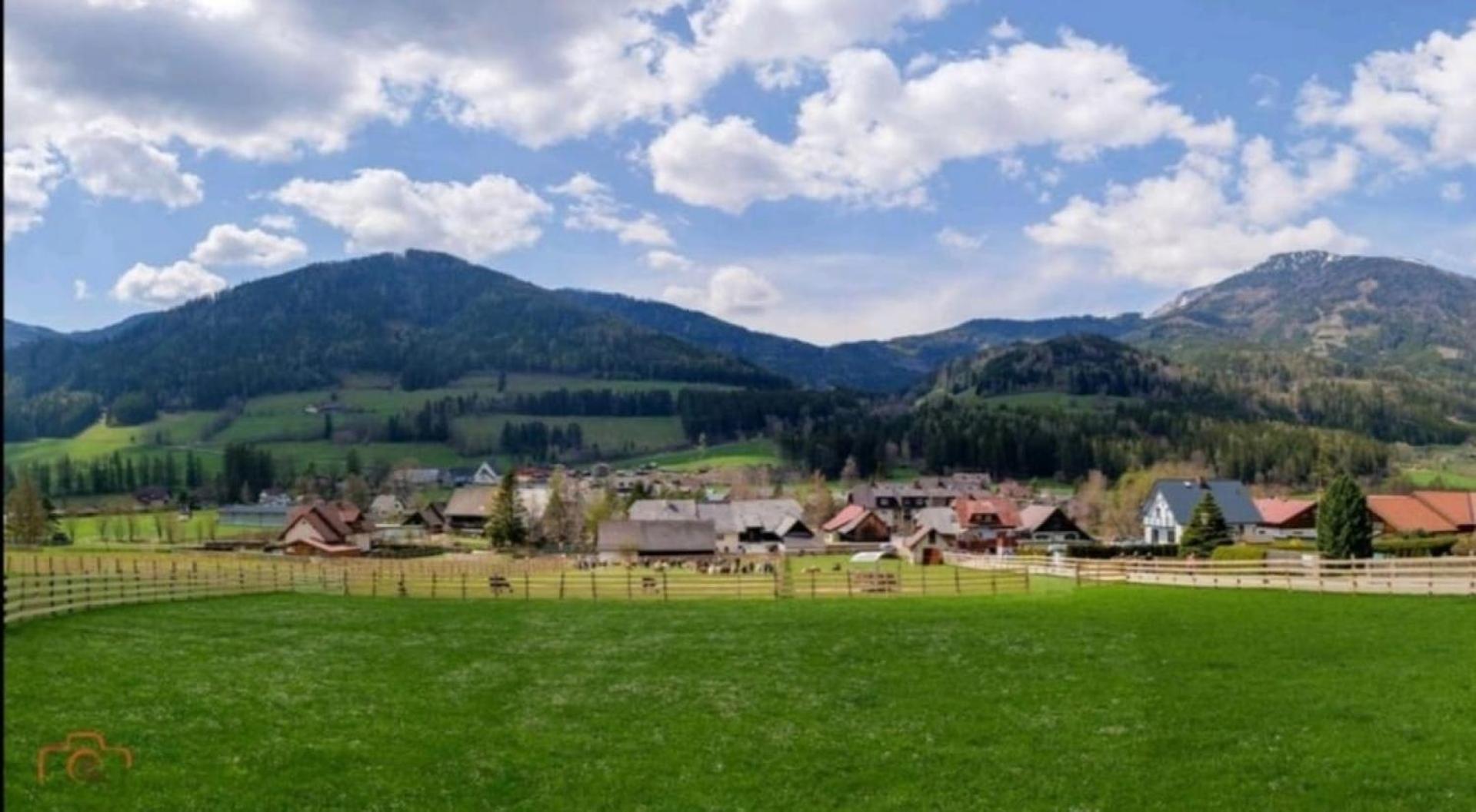 Alpakas, Lamas Und Rentiere Zum Gruenen See Grossdorf  Bagian luar foto