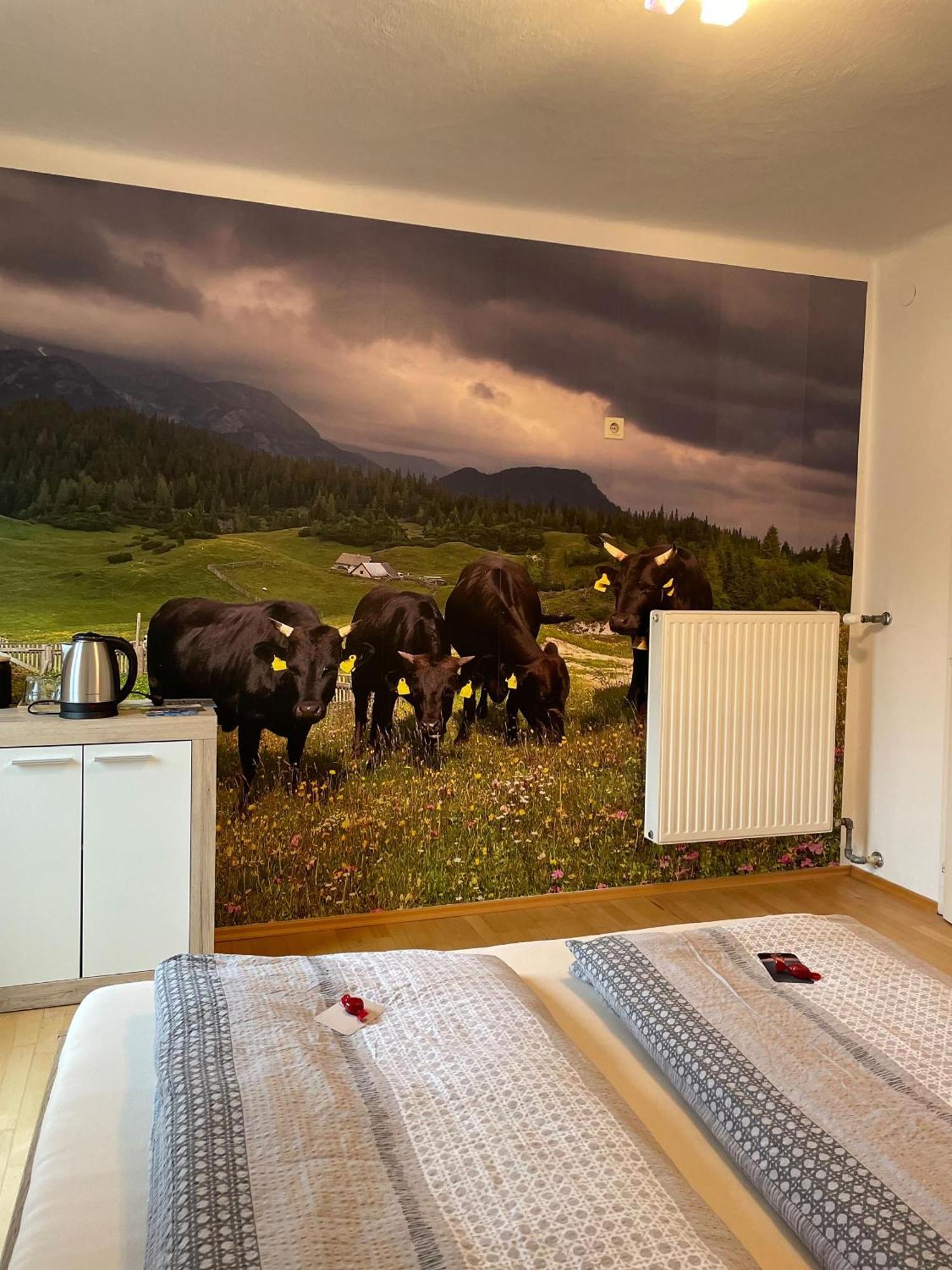 Alpakas, Lamas Und Rentiere Zum Gruenen See Grossdorf  Bagian luar foto